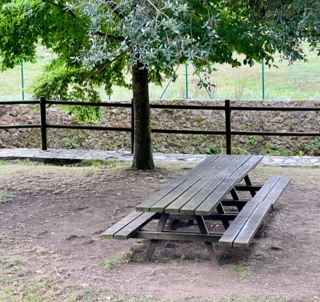 Novales y sus limones