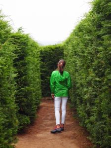 Laberinto de Vilapresente