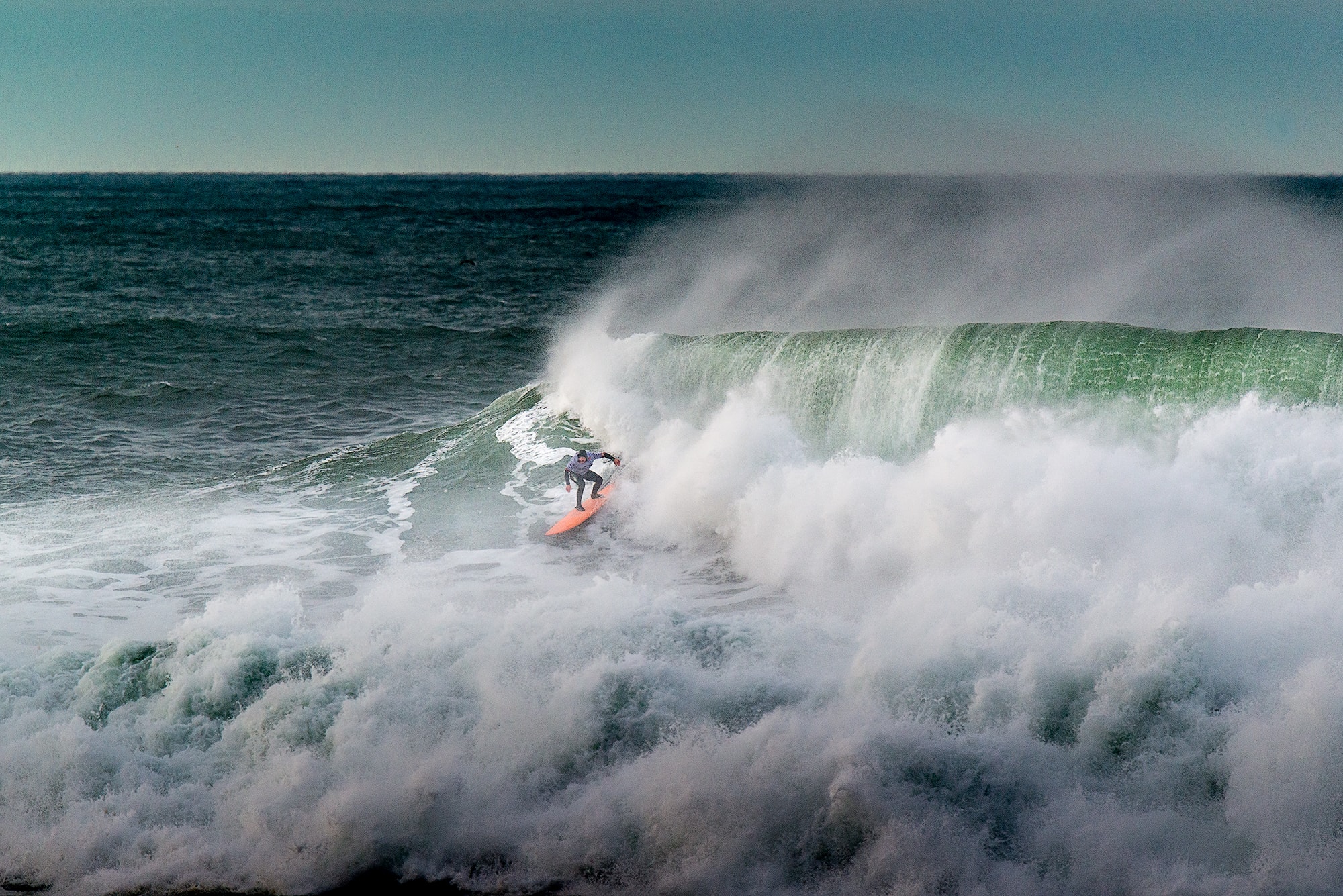 Concurso de Fotografía LA VACA GIGANTE