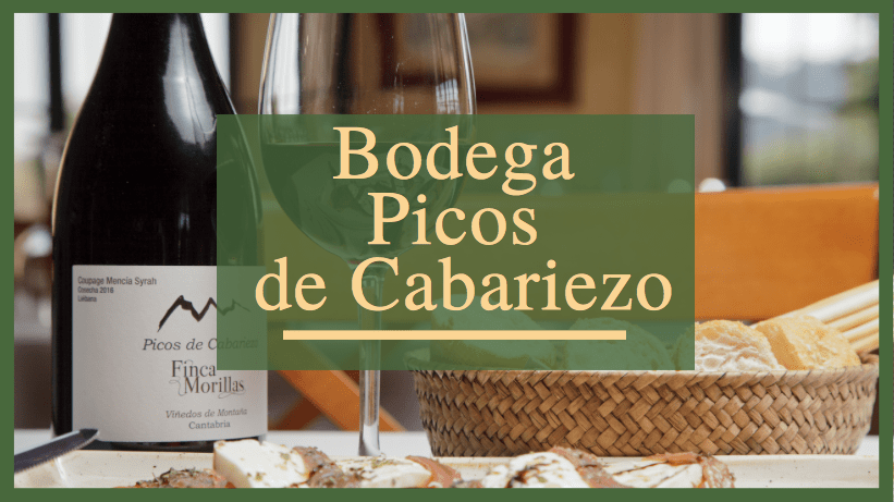 Bodega Picos de Cabariezo