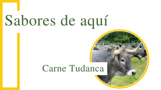 Carne Tudanca